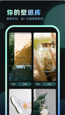 嗨炫壁纸破解版图3