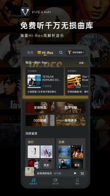 viperhifi破解版图3